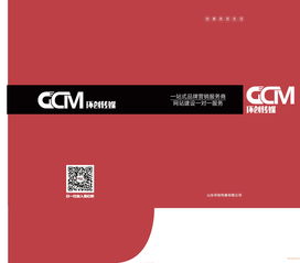 濟(jì)南企業(yè)品牌設(shè)計(jì)與視覺傳達(dá) 平面包裝與VI圖冊(cè)設(shè)計(jì)的價(jià)值與選擇